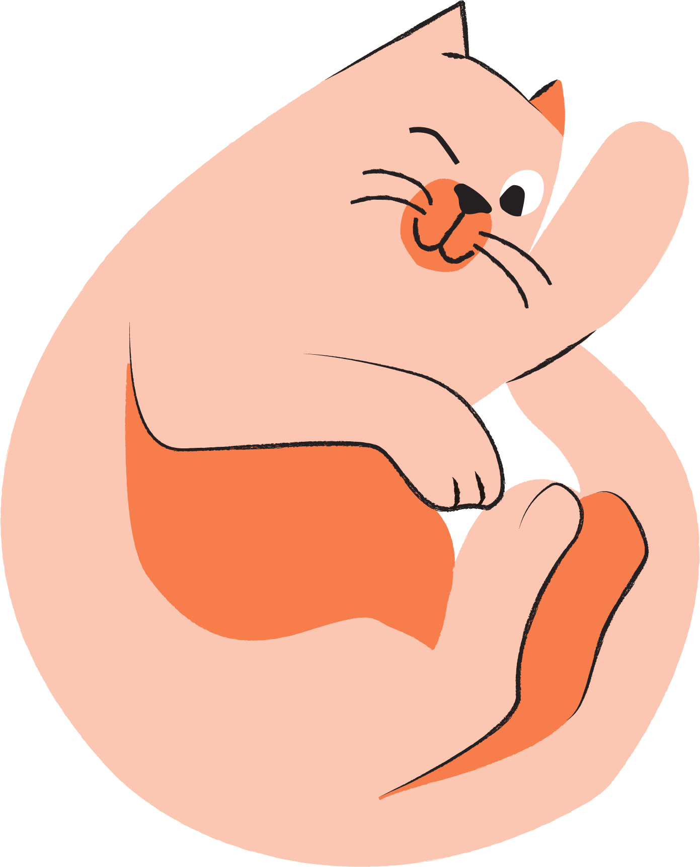 Illustratie van een kat die zich oplikt en uitrust
